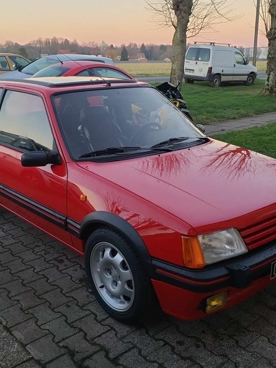 Renovation 205GTi - Photo 139