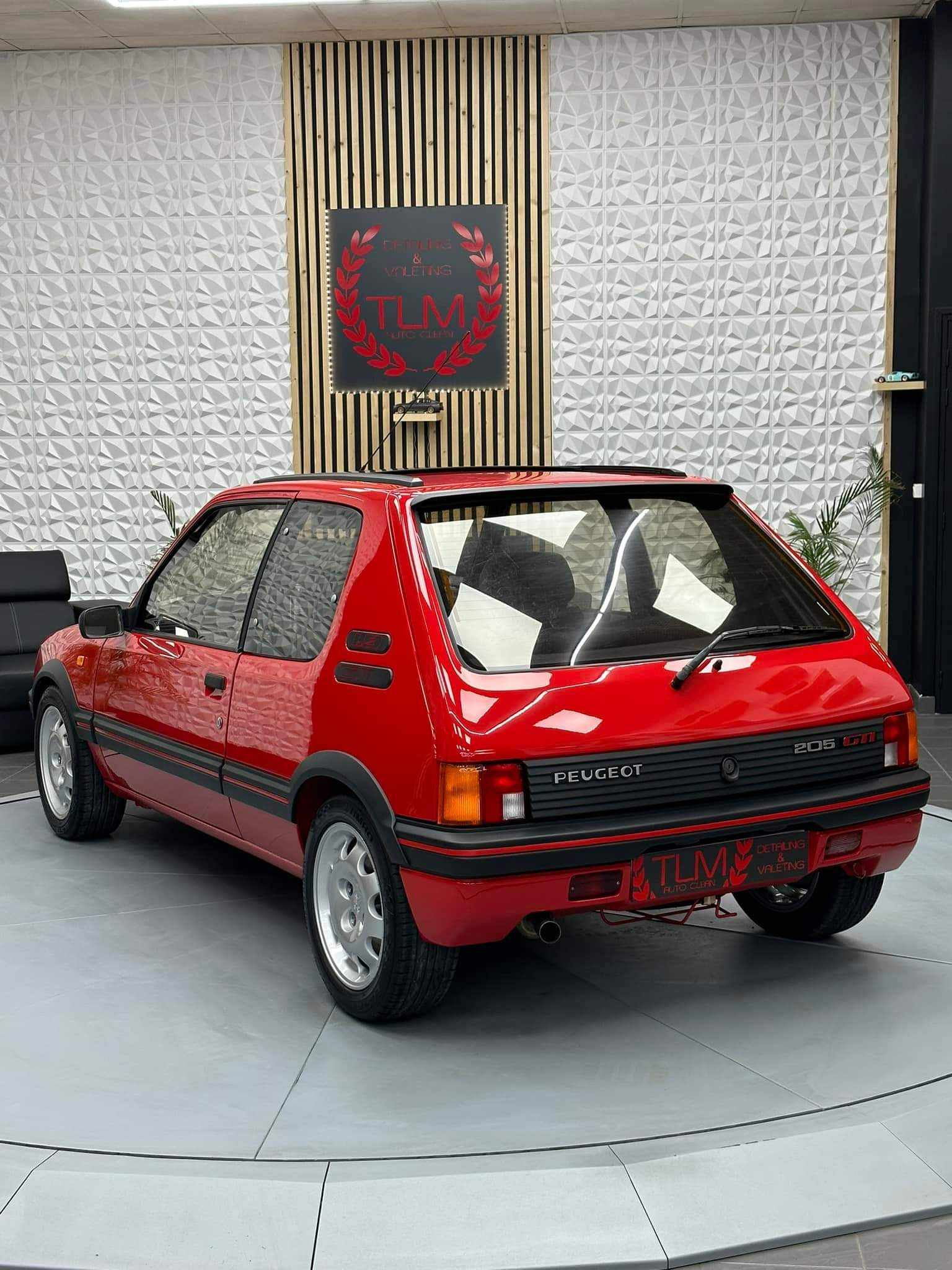 Renovation 205GTi - Photo 150