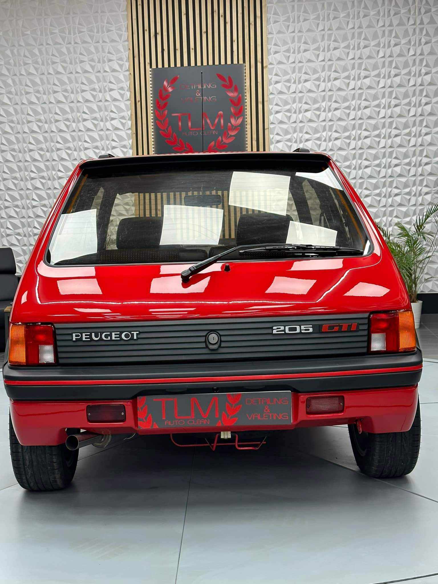 Renovation 205GTi - Photo 152