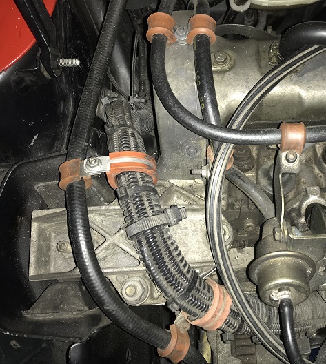 colliers compétition